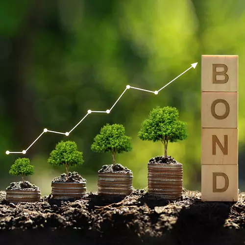 Bonds And Debentures